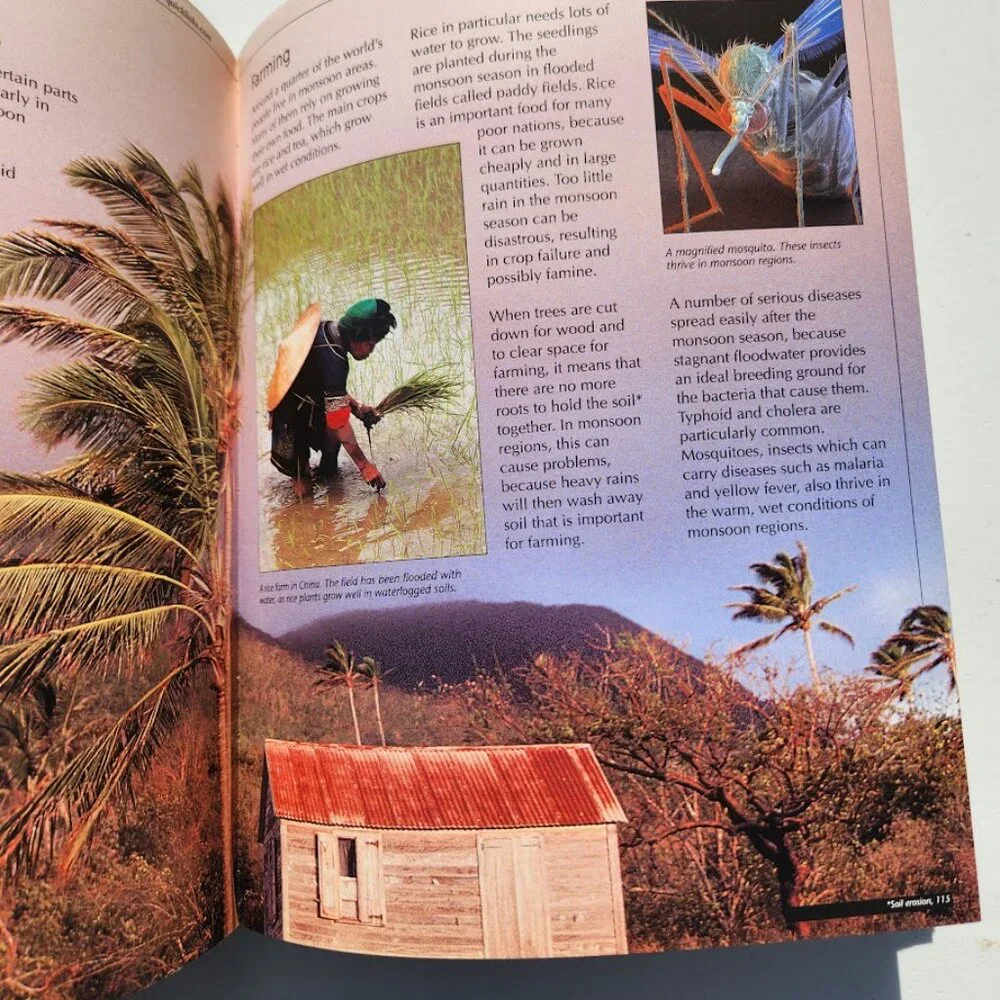 The Usborne Internet-Linked Book Encyclopedia of Planet Earth Science Homeschool